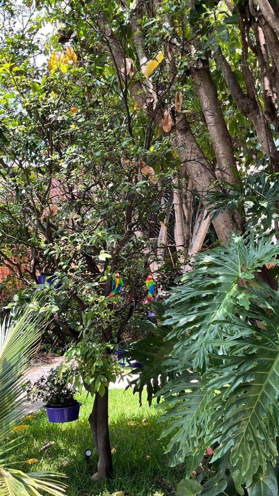 Casa Calnacazco Apartment Tepoztlan Luaran gambar